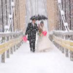 зимняя сказка снежная церемония регистрации брака