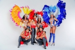 brazil carnival show -   