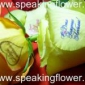говорящие цветы - новинка на флористическом рынке говорящие цветы
