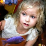 ��������� ��������: fotosvet