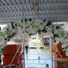 ��������� ����