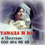 ������ � �������: ������� ����� �����