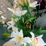 ����� ����������: ������ ����������� ���������� � ������ verona