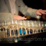����: �������� ������� domino