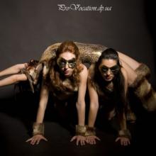 ���-����� provocation