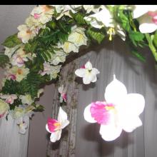 ��������� �������� g b