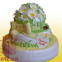 ��������-������� tort ua