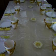 ���������, ��������� - party���