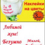 exclusiff