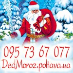 ����� ���� ������ �� ���: ������� ����� �����