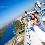 ������ videonova