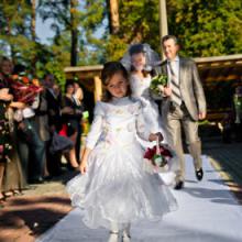 ������ videonova
