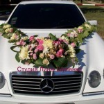 �����-�����: �������������� ������ ���� �������