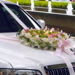 ����� ����������: �������������� ���� avangardi