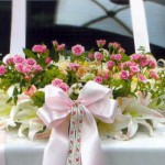 ����� ����������: �������������� ���� avangardi