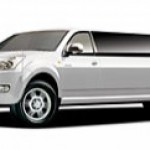 ���������: limo-limo