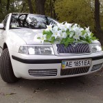 ������ ����������� ��� �������: ��������� ���� skoda octavia