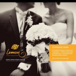 ������ �������: lemon event production group