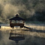 ����������� �����������: ����� ��������