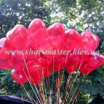 shar-master ���������� ���������� ���������� ������ � �����