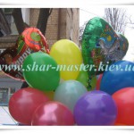 shar-master ���������� ���������� ���������� ������ � �����