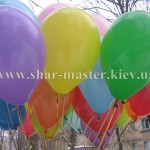 shar-master ���������� ���������� ���������� ������ � �����