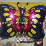 shar-master ���������� ���������� ���������� ������ � �����