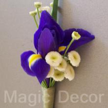 ������, ���������� - ������-������ magic decor
