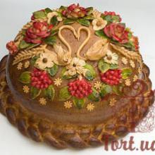 ��������-������� tort ua
