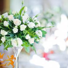grand triumph event agency ����������� ������ ������������ ������ ��������������