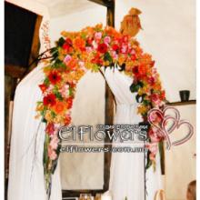 ��������� ���� - ������ ���������� elflowers