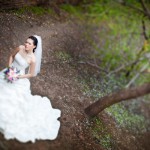 ���������� �������: �������� ��������� ��������