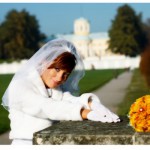 ��������� �������� � ���������: fototut kiev ua