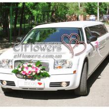 ������ ���������� elflowers