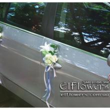 ������ ���������� elflowers