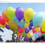 shar-master ���������� ���������� ���������� ������ � �����