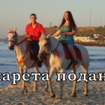 ������: ������ ������
