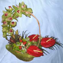 flordekor