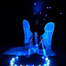 fireshow pantera
