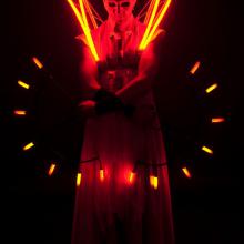 fireshow pantera