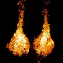 fireshow pantera