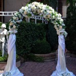 ��������� ����: ������ ���������� belfiore