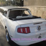 ������ ��������� limos