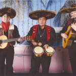 ��������� ��������: learuse stars incorporation