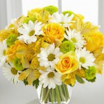 �������� ������ �� ����� �������� ������ �� ����������: beautiflora