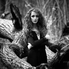 ������� grishkoff - ������� ����� ���������� ������