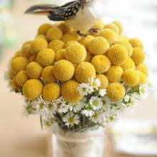 ������, ���������� - ������ ���������� � ������ flowers for you