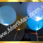                 14  8 : merimax -        