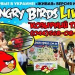 ���������� angry birds live �������� ������ ���������� ���� �� "�������� ���"
