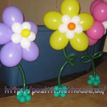 ������ ����������� pozitiv ���������� ���������� � ��������� ������